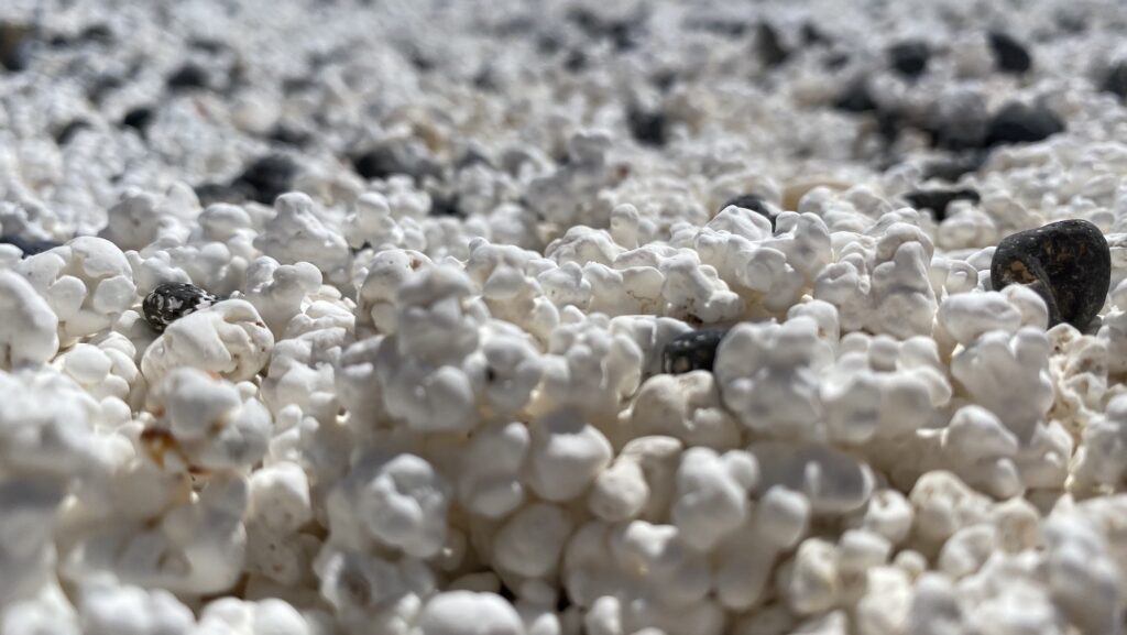 popcorn beach fuerteventura